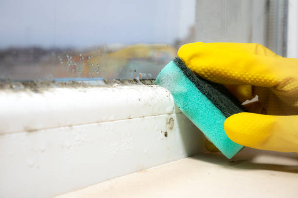 Best Biohazard Mold Removal  in Canonsburg, PA